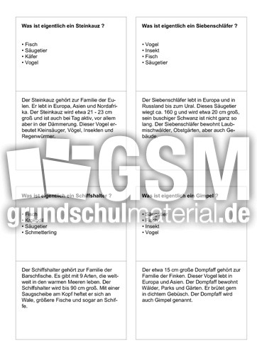 Tiernamen 72.pdf